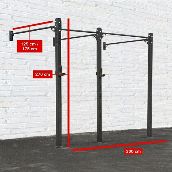 CrossFit Rig Mural PRO 80-300