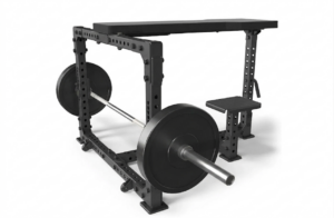 Seal Row Bench